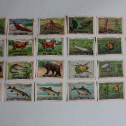 Vignettes ( 23 ) Chocolat Cailler's Animaux Suisse