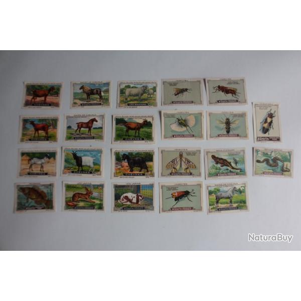 Vignettes ( 22 ) Chocolat Kohler - Cailler's Animaux Suisse