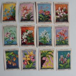 Vignettes ( 12 ) Chocolat Kohler - Cailler's les orchidées Suisse