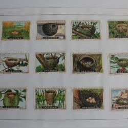 Vignettes ( 12 ) Chocolat Kohler - Cailler's Les nids Suisse