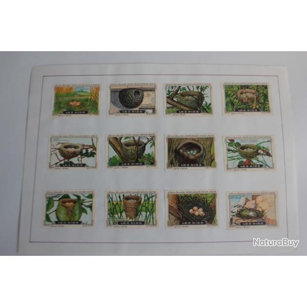 Vignettes ( 12 ) Chocolat Kohler - Cailler's Les nids Suisse