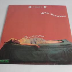 Vinyle 33T Raw Produce - The Feeling Of Now HHV005