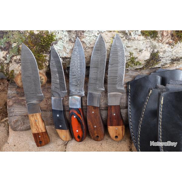 LOT DE 5 Couteau Skinner Damas Lame Acier 256 Couches Manche Bois Etui Simili Cuir Fabr Artisanale B