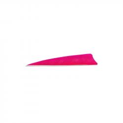 Plume de flèche Naturelle Gateway Shield - 3 Pouces / Rose