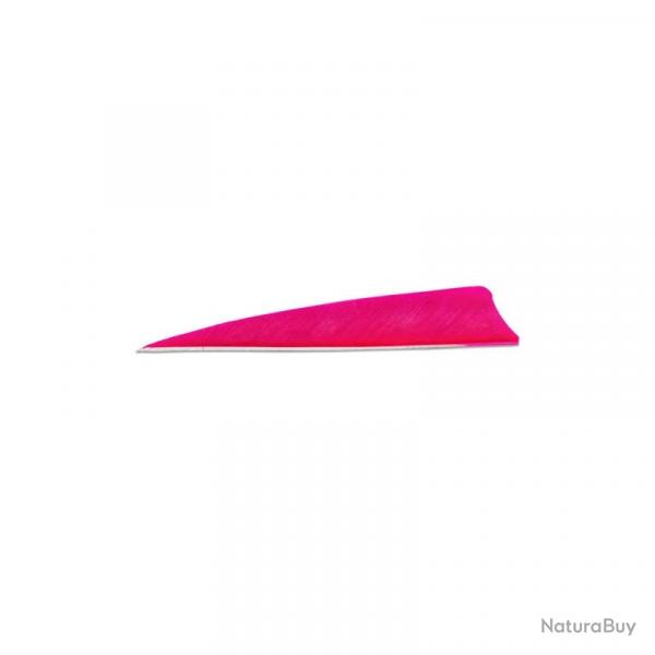 Plume de flche Naturelle Gateway Shield - 3 Pouces / Rose