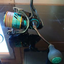 Daiwa Emeraldas