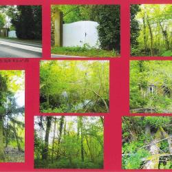 2,4708 ha - ETANG DU GRAND MARAIS DE SAINT - VRAIN - ( 91 ) ESSONNE