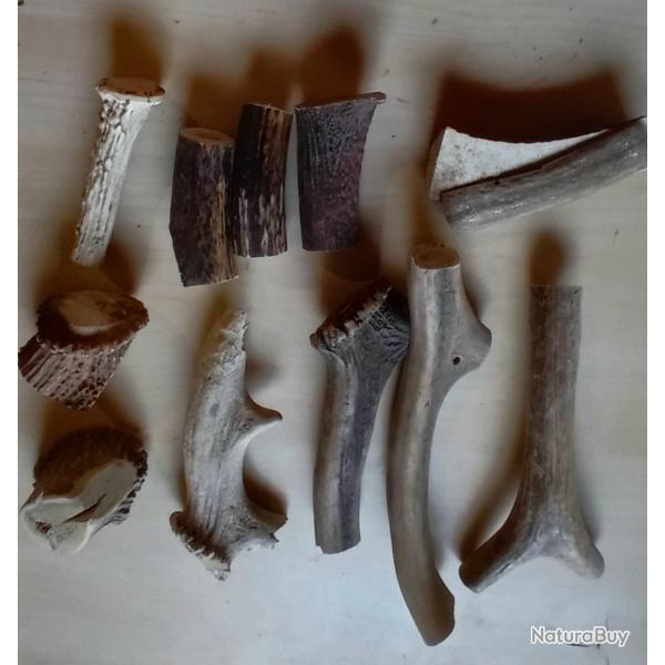 morceaux de bois de cerf