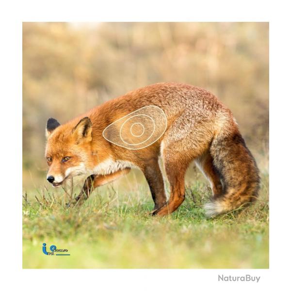 ITAL ESPANSO -RENARD2D