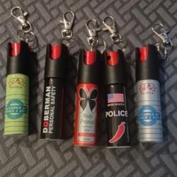 Lot 10 Bombes lacrymogène  porte clef 20 ml bec rotatif