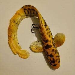 Burbot savage