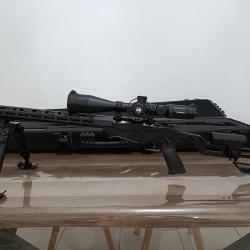 Ruger précision rimfire 22lr