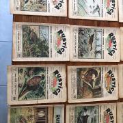 Lot de revues le chasseur français - Collection