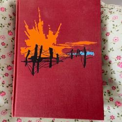 livre Verdun Georges Blond