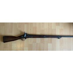 Fusil de chasse a piston et poudre noir