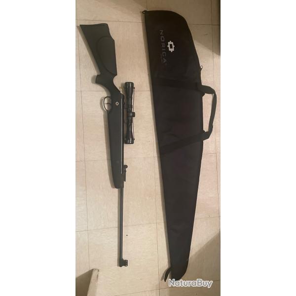 Carabine  plombs