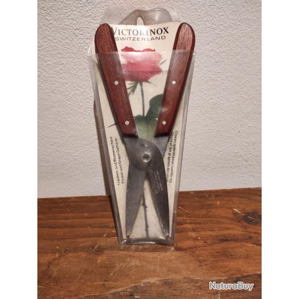 Rare petit scateur Victorinox neuf dans son emballage pour fleurs et grappe raisin