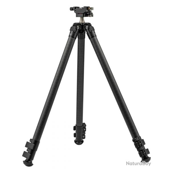 Trpied Audre Shadow