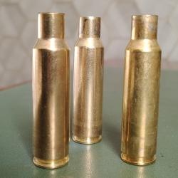 Etuis 8,5 x 55 blaser (tirés une fois)