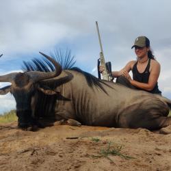 Safari Namibie