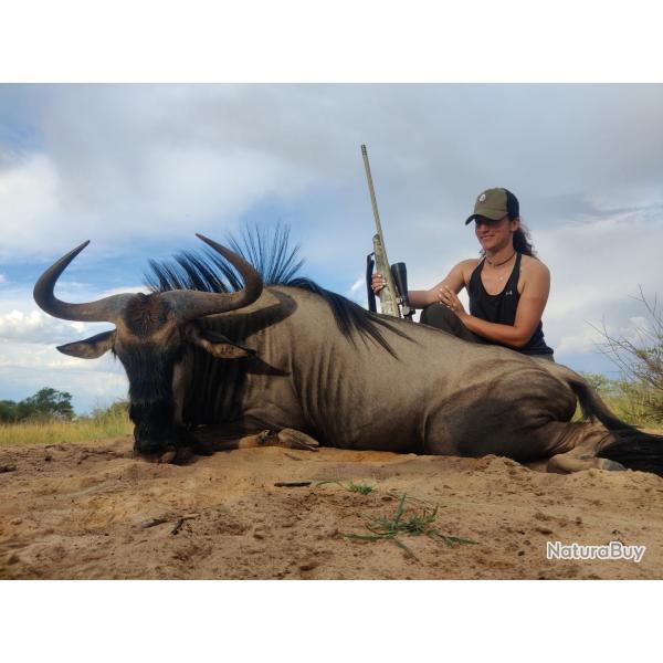 Safari Namibie
