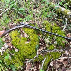 Fusil à chien extérieur, calibre 16