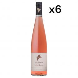 Domaine De La Mordorée "La Remise" vin de France, 2022, le carton de 6 bouteilles