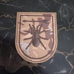 patch  scratch  araignée