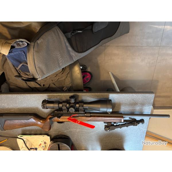 Pack Carabine Hammerli B1 noyer