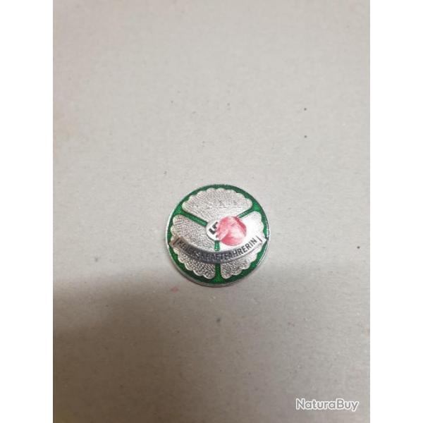 Insigne  Allemand en reproduction P11