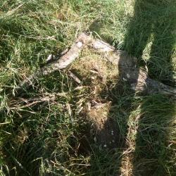 territoire de chasse petit et grand gibier region la charité sur loire