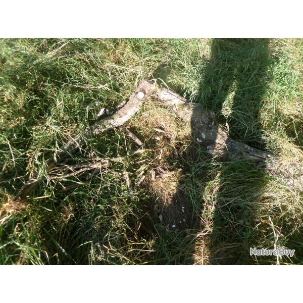 territoire de chasse petit et grand gibier region la charit sur loire