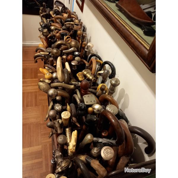 Collection de 200 Cannes anciennes.