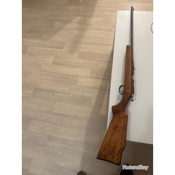 Carabine 22 lr