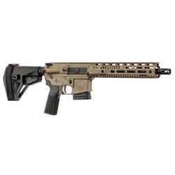 Carabine semi-automatique AR15 Watchtower 15M - 5.56 mm / 26.7 cm / FDE