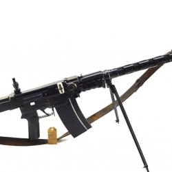 RARE Carabine semi automatique SIG PE57 (Type STG57) 7.5x55 Suisse