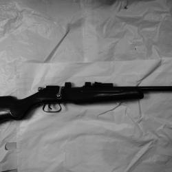 carabine MANU ARM cal 22lr  1 coup