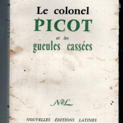 le colonel picot et les gueules cassées de noele roubaud et r.n.brehamet