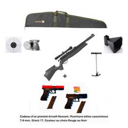 PACK-CADEAU ! Pack-16 Carabine Arrow Gamo 5,5 mm + Cadeau pistolet Airsoft Ressort Glock 17 - 7-8 mm