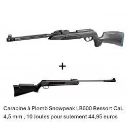 PACK COMBINÉ ! Carabine Gamo Speedster IGT 10X GEN2i C. 4,5 mm + Carabine Snowpeak LB600 Cal. 4,5 mm