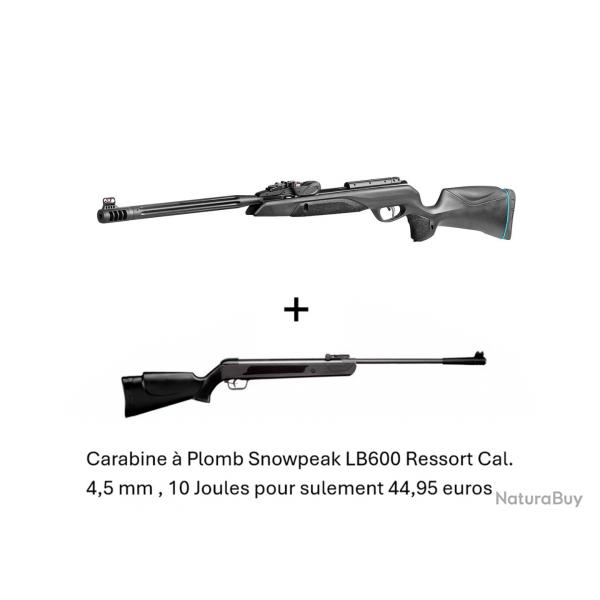 PACK COMBIN ! Carabine Gamo Speedster IGT 10X GEN2i C. 4,5 mm + Carabine Snowpeak LB600 Cal. 4,5 mm