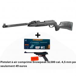 PACK COMBINÉ ! Carabine Gamo Speedster IGT 10X GEN2i C. 4,5 mm + Pistolet SNOWPEAK SP500 Cal. 4,5 mm