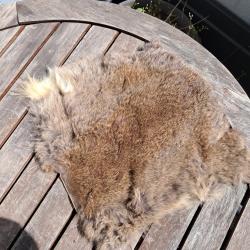 Peau de lapin #43
