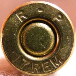 17 Remington ( R - P )