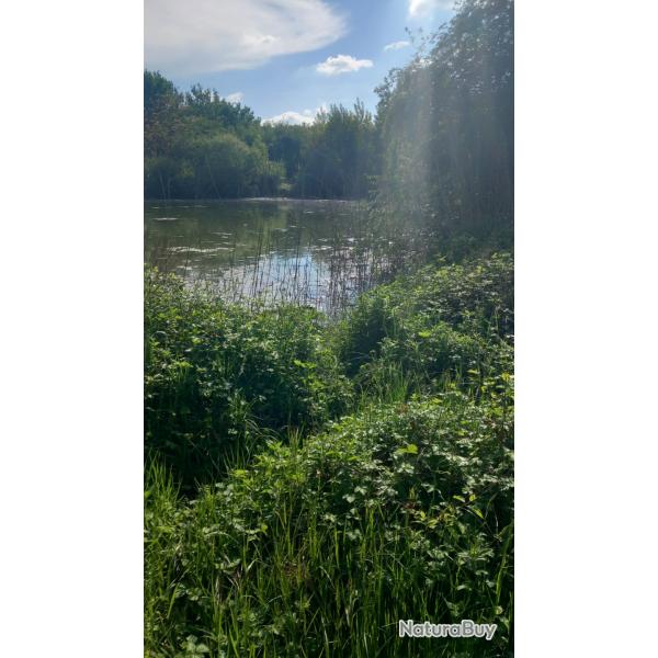 ACTION DE CHASSE PETITS GIBIERS