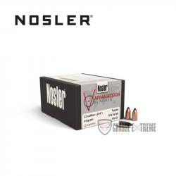 100 Ogives NOSLER Cal 22 35 Gr Tipped Fb