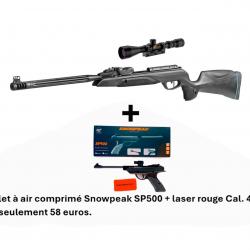 PACK COMBINÉ ! Carabine + Lunette Speedster IGT 10X GEN2i 4,5 mm + P. SNOWPEAK SP500 4,5 mm + LASER