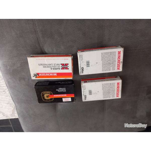 balle 300 wing mag winchester