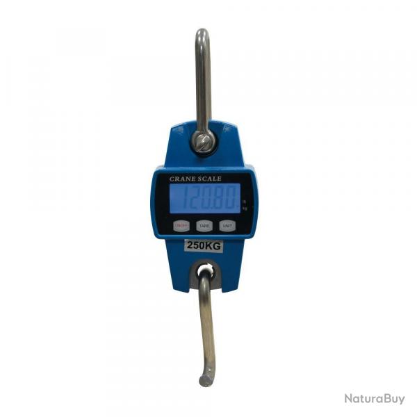 Promotion ! Peson digital 250 kg