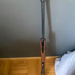 Carbine a plomb 4,5 mm GAMO Avec lunette camo Plomb plat et pointues avec